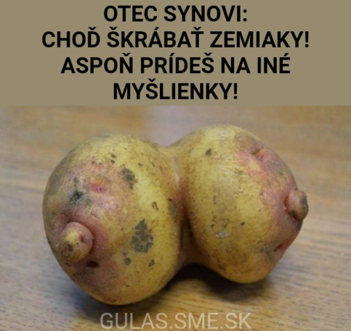 Otec synovi